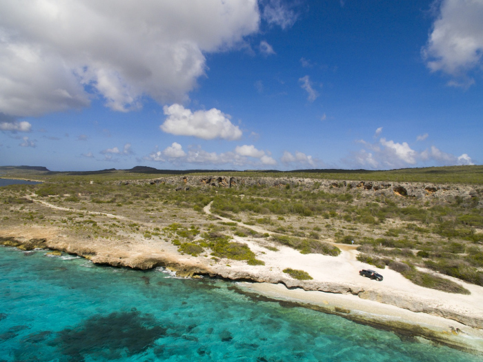 Universiteit Wageningen zoekt studenten voor koraalonderzoek op St. Maarten