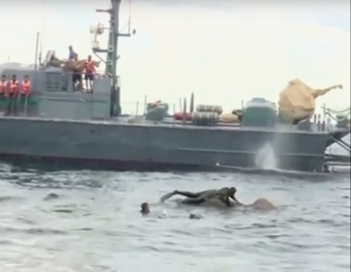 Duikers redden afgedwaalde olifant op open zee