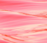 Texelse waterplas kleurt plotseling roze