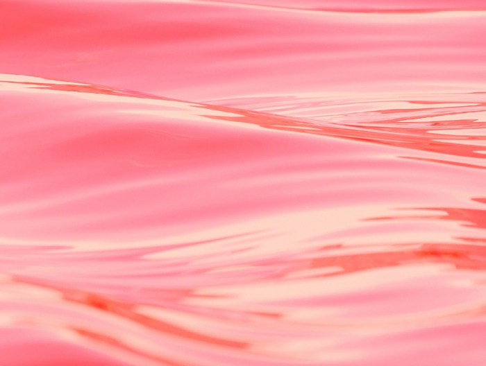 Texelse waterplas kleurt plotseling roze
