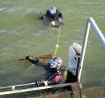 Belgische duikers vinden jachtgeweer bij opruimduik Albertkanaal