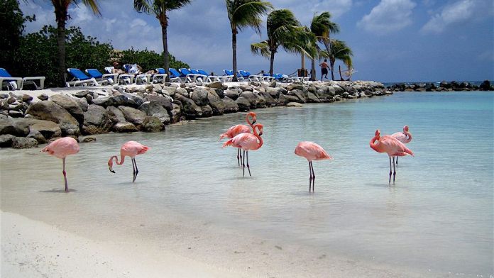 Aruba vakantie; Bezienswaardigheden & Activiteiten - Reisliefde