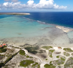 Vereende krachten tegen zeegrasvervuiling Bonaire