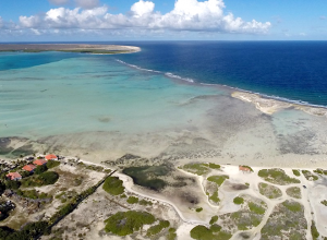 Vereende krachten tegen zeegrasvervuiling Bonaire