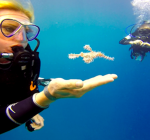 Nederlandse duikers  ontmoeten bijzondere ghost pipe fish