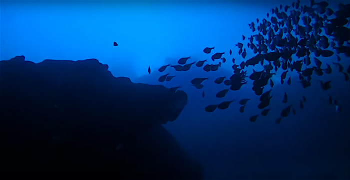 Blue Room. Een van de coolste dive spots op Curacoa