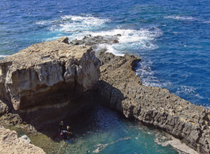 Duiker overlijdt in Dwejra, Gozo