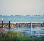 VVD: 'Schrap Grevelingenmeer als beschermd natuurgebied'