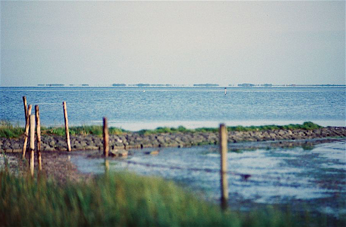 VVD: 'Schrap Grevelingenmeer als beschermd natuurgebied'