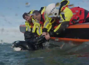 De redding van duikers. Oefening KNRM 2019