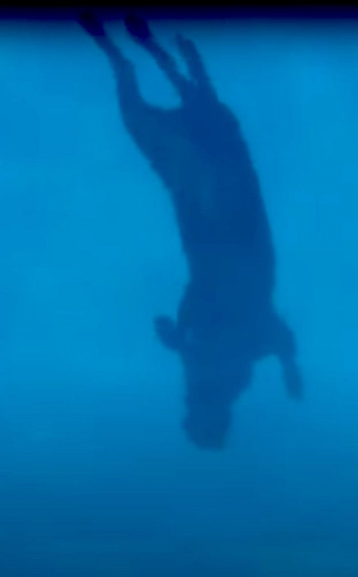Hoe diep kan een hond duiken?