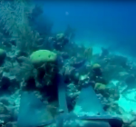 Luxe jacht beschadigt duikplaats Aquarium in Belize