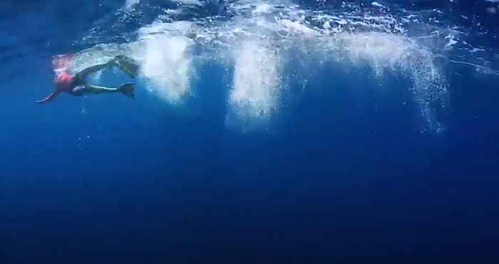 Snorkelaar raakt bekneld tussen bultruggen