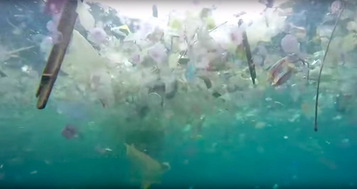 Carnival Cruise krijgt 20 miljoen boete voor dumpen van afval in zee