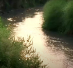 Meest vervuilde rivier knapt op na lockdown