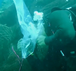 Duikers redden koraalrif van gigantisch net met deze slimme truc