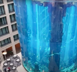 Zo ziet de ravage eruit na barsten Berlijns aquarium met 1500 vissen