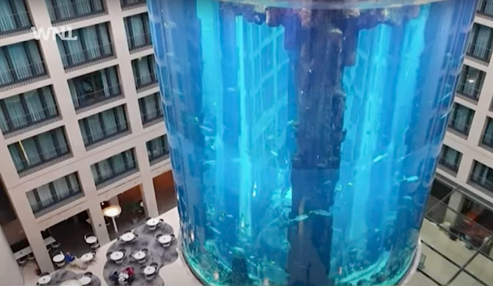 Zo ziet de ravage eruit na barsten Berlijns aquarium met 1500 vissen