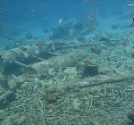 Sleepboot beschadigt rif en koraalkwekerij bij Tugboat op Curaçao