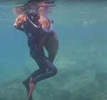 Zeeleeuw omarmt jeugdige duiker voor de kust van Mexico