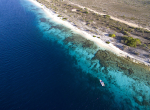 Ook plannen voor afsluiting Klein Bonaire in verband met koraalziekte SCTLD