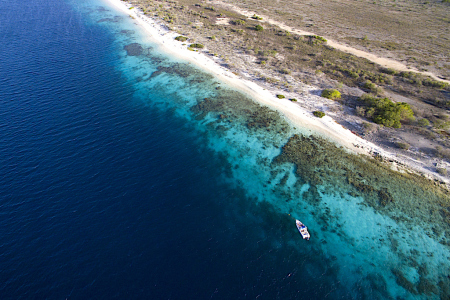 Ook plannen voor afsluiting Klein Bonaire in verband met koraalziekte SCTLD