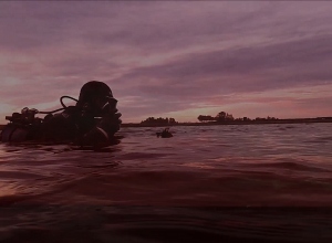 Duikers spotten vier zeepaardjes bij zonsopkomst