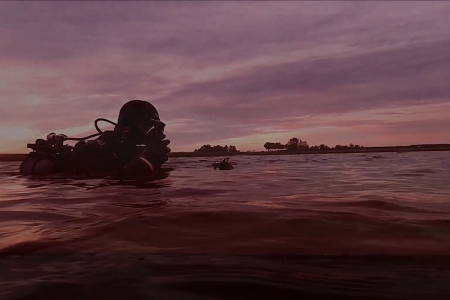 Duikers spotten vier zeepaardjes bij zonsopkomst