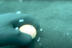 Deze duiker kookt een ei op de bodem van een meer met koud water. Hoe dat zit lees je hier!